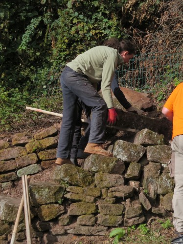 Mettez les mains dans la terre : MURET DE PIERRE SÈCHE AU JARDIN : UN ATOUT BIODIVERSITÉ